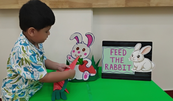FEED THE RABBIT